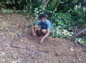 +94 76 786 0488.jpeg