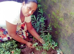 +94 75 609 0659.jpeg