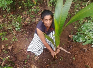 +94 75 696 2791.jpeg