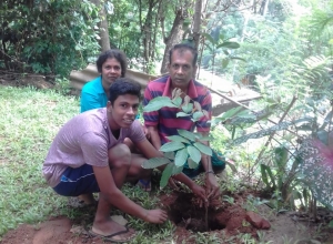 +94 75 719 6197.jpeg