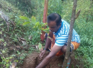 +94 77 181 2786.jpeg