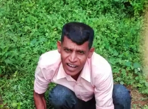 +94 77 181 8768.jpeg