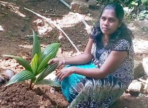 +94 77 277 9346.jpeg