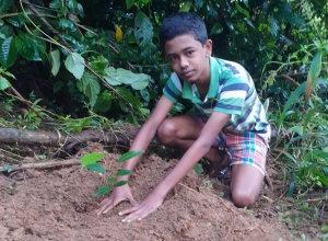 +94 77 309 1752.jpeg