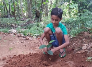 +94 77 353 9568.jpeg