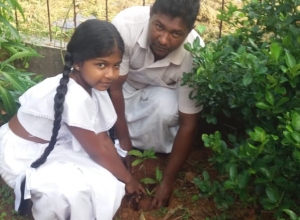 +94 77 384 2969.jpeg