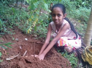 +94 77 464 6364.jpeg