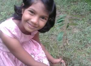 +94 77 464 8528.jpeg