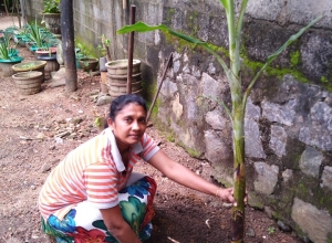 +94 77 537 3380.jpeg