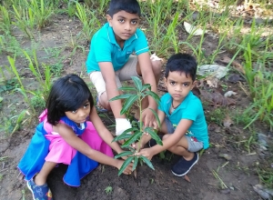 +94 77 598 4092.jpeg