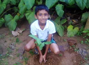 +94 77 643 8369.jpeg