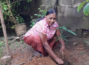 +94 77 707 9474.jpeg