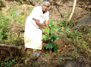 +94 77 823 2869_01.jpeg