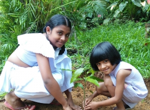 +94 77 896 9342.jpeg