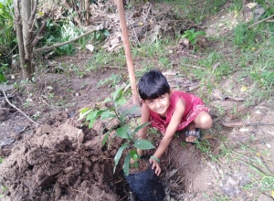 +94 78 162 2731.jpeg