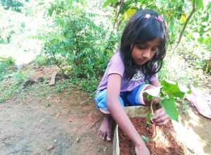 +94 78 237 4025.jpeg