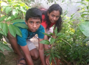 +94 78 293 3619.jpeg