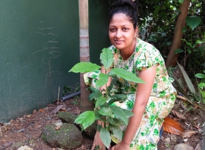 +94 78 381 3642.jpeg