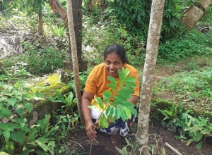 +94 78 461 6102.jpeg