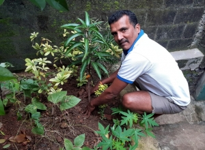 +94 78 661 5739.jpeg