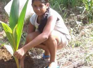 +94 78 871 9623.jpeg