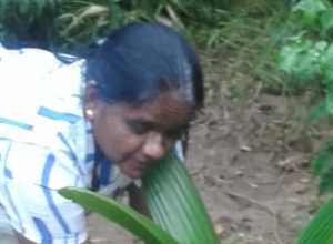 +94 71 767 7862.jpeg