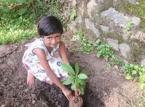 +94 71 987 6881.jpeg