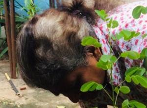 +94 77 610 4194.jpeg