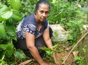 +94 71 462 0347.jpeg