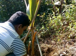 +94 71 639 8354.jpeg