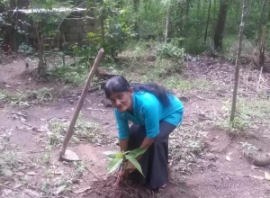 +94 71 654 8062.jpeg