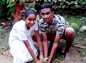 +94 77 375 3669.jpeg