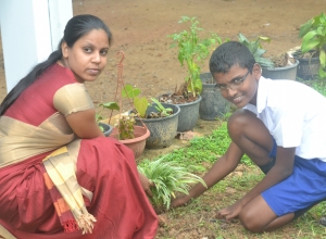 matara warakapitiya maha vidayalaya - 6 wasara - chamal aswin.jpg