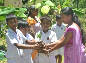 matara weligama polwaththa prathamika vidayalaya-3 wasara..jpg