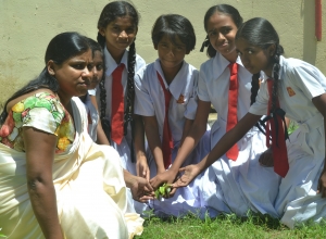 matara, weligama sumangala balika vidayalaya - 6 wasara.jpg