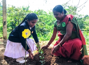 H W D WEERATHUNGA.JPG