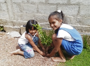 +94 77 805 8061.jpeg