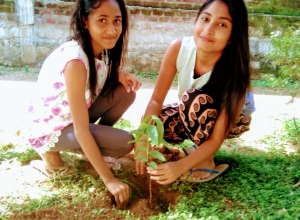 +94 77 826 8400.jpeg