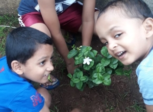 +94 72 706 6588.jpeg