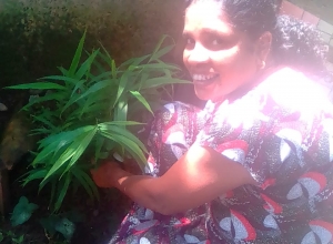 +94 75 208 3412.jpeg