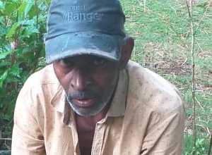 +94 75 421 2445.jpeg