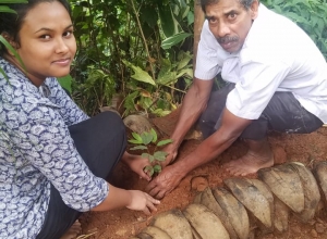 +94 75 479 3563.jpeg