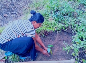 +94 75 511 3652-02.jpeg