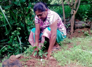 +94 75 513 6240.jpeg