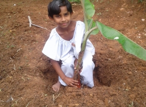 +94 75 532 8360-03.jpeg