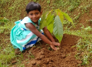 +94 75 535 9150.jpeg