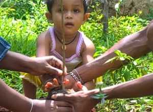 +94 75 793 3066.jpeg