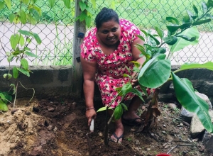 +94 75 809 2764.jpeg