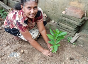 +94 75 820 4470.jpeg