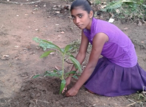 +94 76 107 2283.jpeg